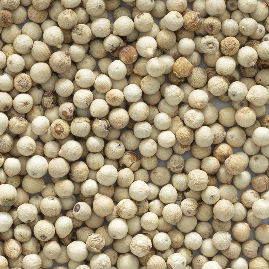 White Pepper 2