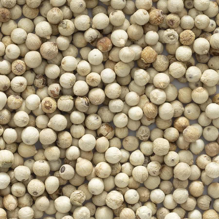 White Pepper